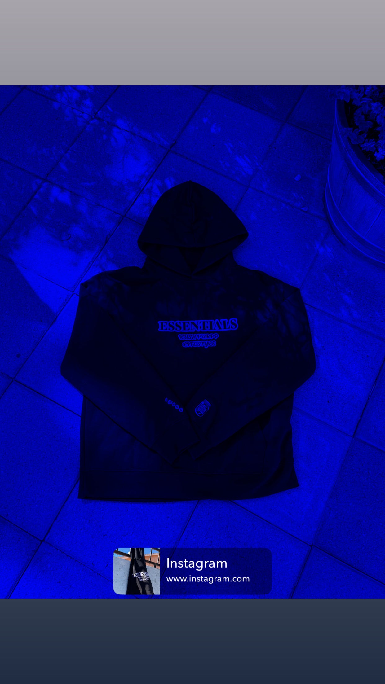 Purpp Got It - Kush Purpp Lifestyle (heavyweight hoodie) - Purpp Got It by Kay Peezy | The Kush Purpp Lifestyle Shop